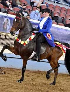 Clayhill Affirmative GCH