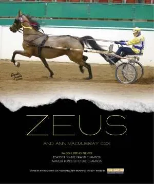 zeus.jpg