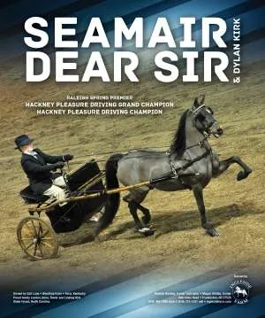 dearsir.jpg