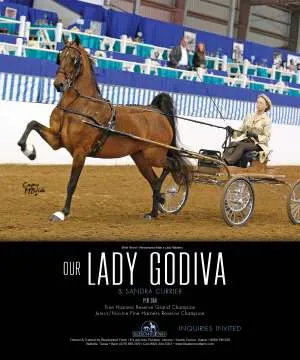 Perwien:Godiva.jpg