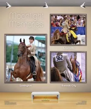 memories-v2.jpg