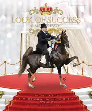 lookofsuccess-v4.jpg