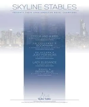 Skyline1.jpg