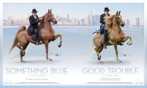Skyline Goodman4.jpg
