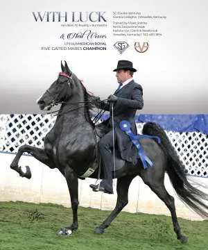 Visser Gallagher C2.jpg