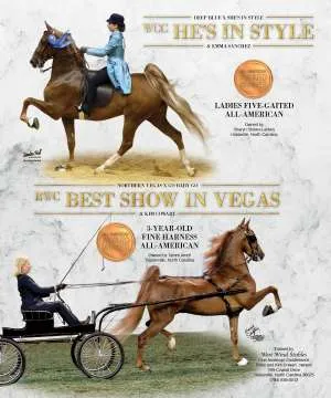 ad-style-vegas-v3.jpg