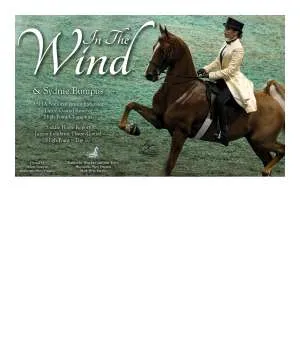 ad-inthewind-v1.jpg
