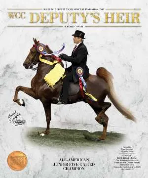 ad-deputysheir-v2.jpg