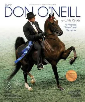 ad-donneill-v2.jpg