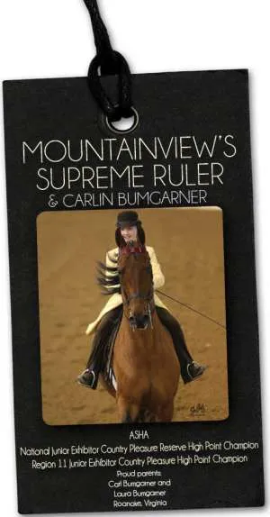 ad-supremeruler-v2.jpg