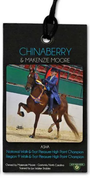 chinaberry-v1.jpg