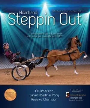 ad-steppinout-v6 copy.jpg