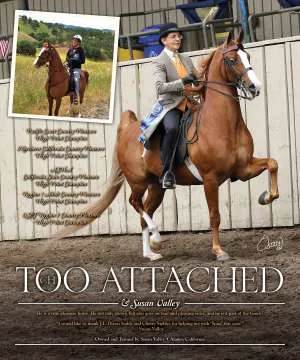 ad-tooattached-v1.jpg