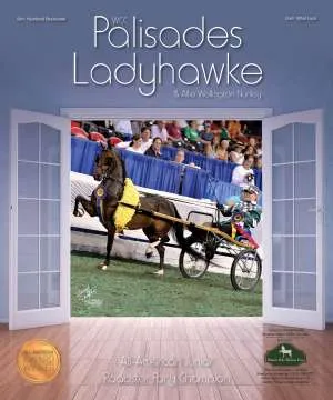 ad-ladyhawke-v1.jpg