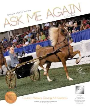 ad-askmeagain-v1.jpg
