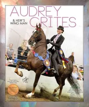 ad-crites-v4.jpg