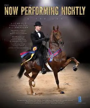 CCSaddlebreds.jpg