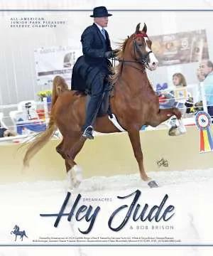 4e4ddf4aa536b4171de44c0aadc9275d807cf7e3f7dad74e56b526454f468248_1_IzAwMDgwMF8xMDA=.jpg