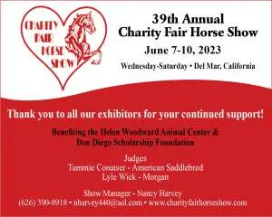 Charity Fair.jpg