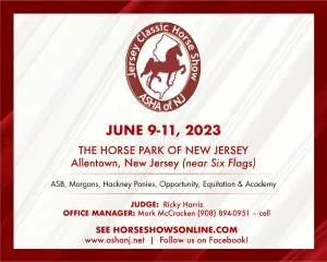HSP Jersey Classic.jpg