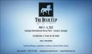 Dixie Cup.jpg