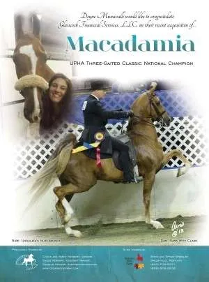 macadamia.jpg