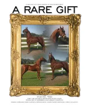 rare gift.jpg