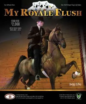 Royale Flush.jpg