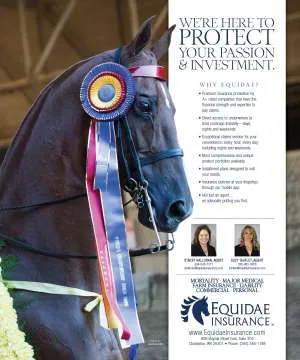 Equidae.jpg