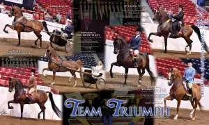 TriumphStables.jpg