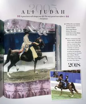 Judah.jpg
