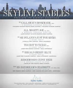Skyline1.jpg