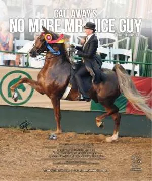nomoremrniceguy.jpg
