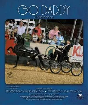 godaddy.jpg