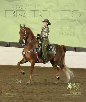 brightbritches.jpg