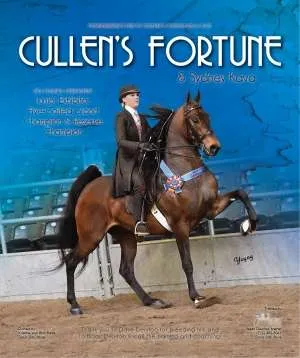 cullensfortune.jpg