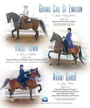 DavisStables.jpg