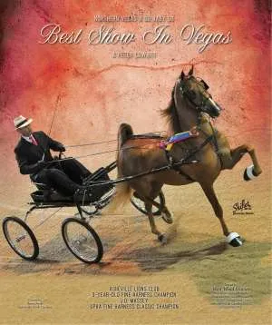 bestshowinvegas.jpg