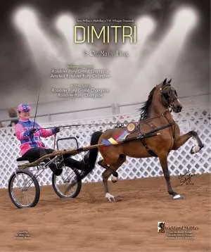 dimitri.jpg