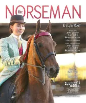 thenorseman.jpg