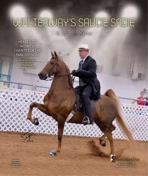 sauciesadie.jpg