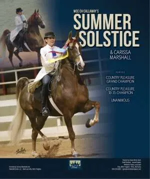 summersolstice.jpg