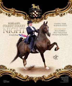 starrystarrynight.jpg