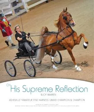 hissupremereflection.jpg