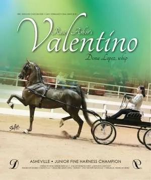 valentino.jpg
