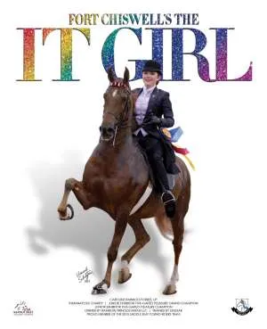 Rainbolt - It Girl.jpg