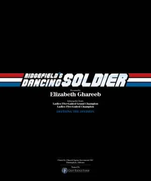 GR_Ghareeb Soldier 1.jpg