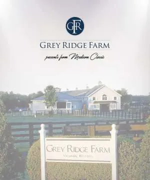 GreyRidgeLEAD.jpg