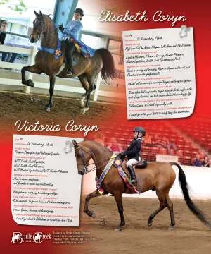 Coryn:Bridle.jpg