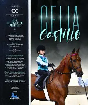 Castillo.jpg
